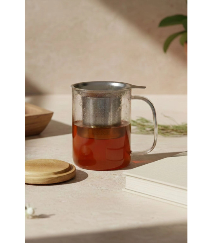 Taza Gustave — Vidrio borosilicato 450 ml con filtro y tapaTé y Sensaciones