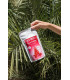 Cold Brew BESO DE FRESA — Infusión de frutas sabor fresa (100 g)Té y Sensaciones