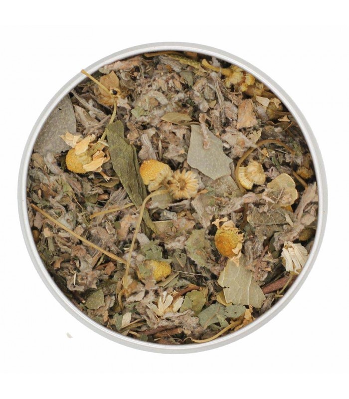 Infusión DepurativaTé y Sensaciones