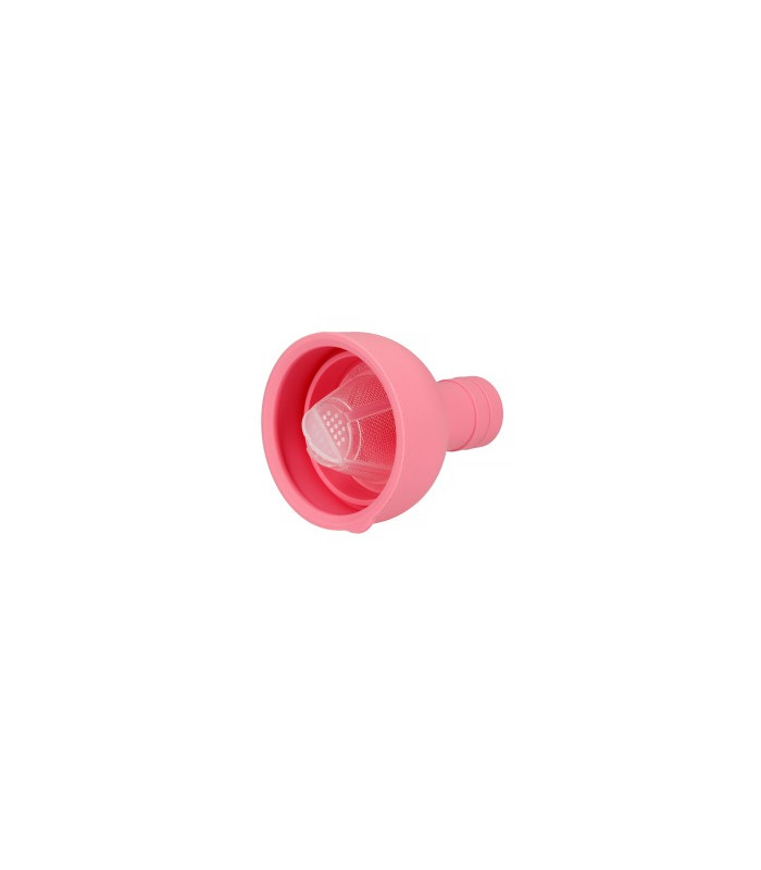 Botella con filtro para té frio 750ml,Rosa.HarioTé y Sensaciones